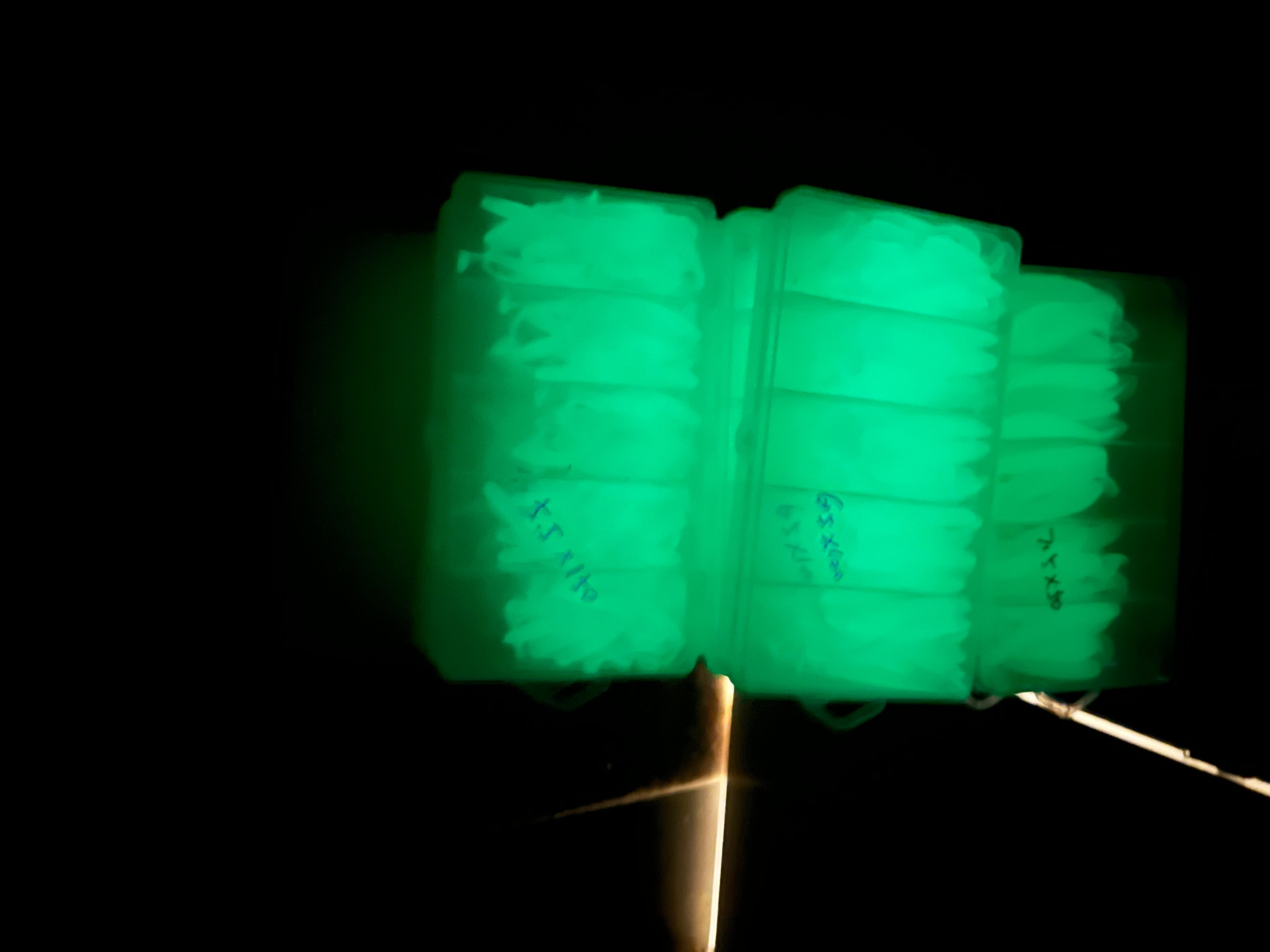 Glow-in-the-Dark Soft Worm