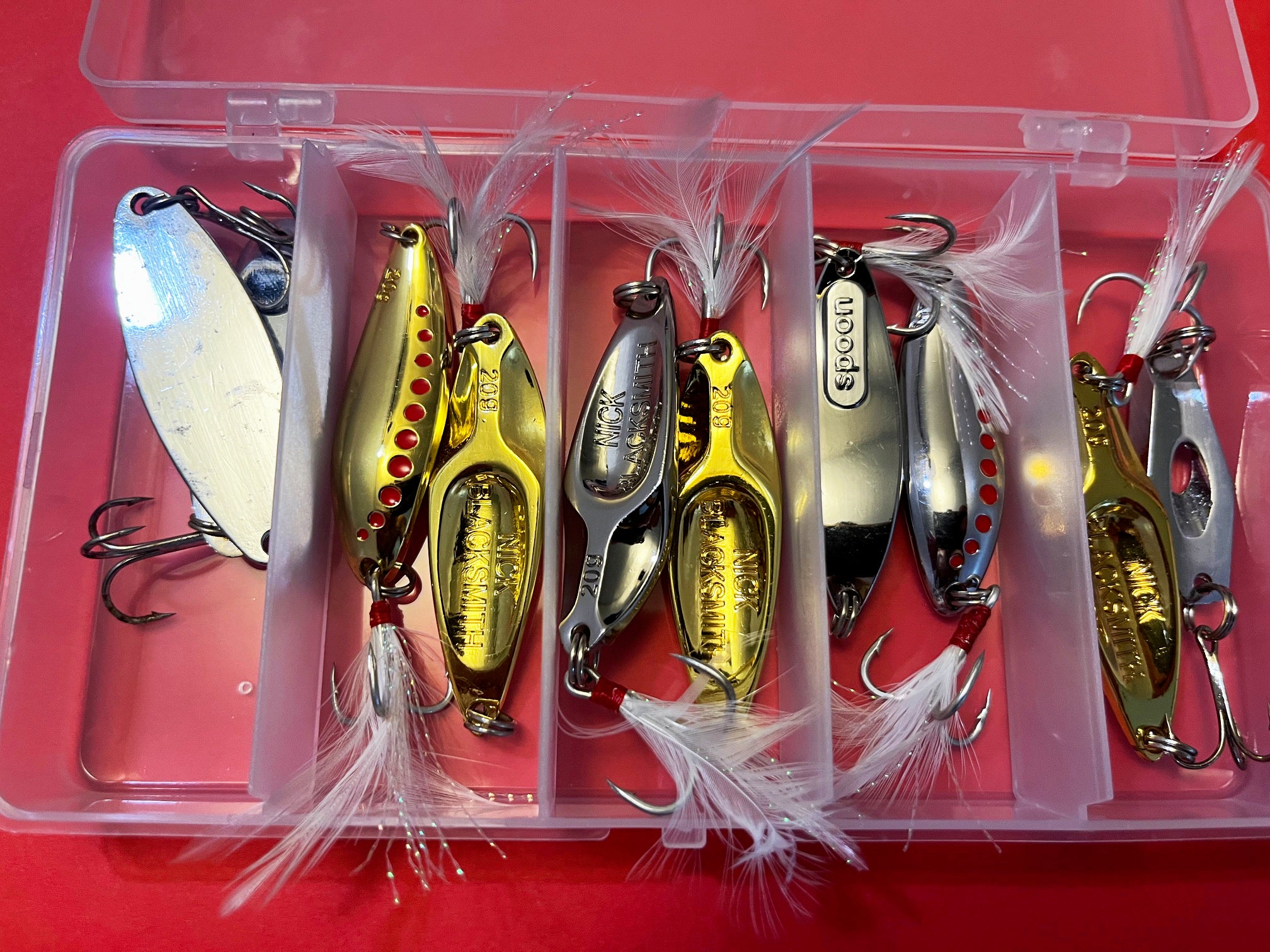 Assorted Jig Head-100