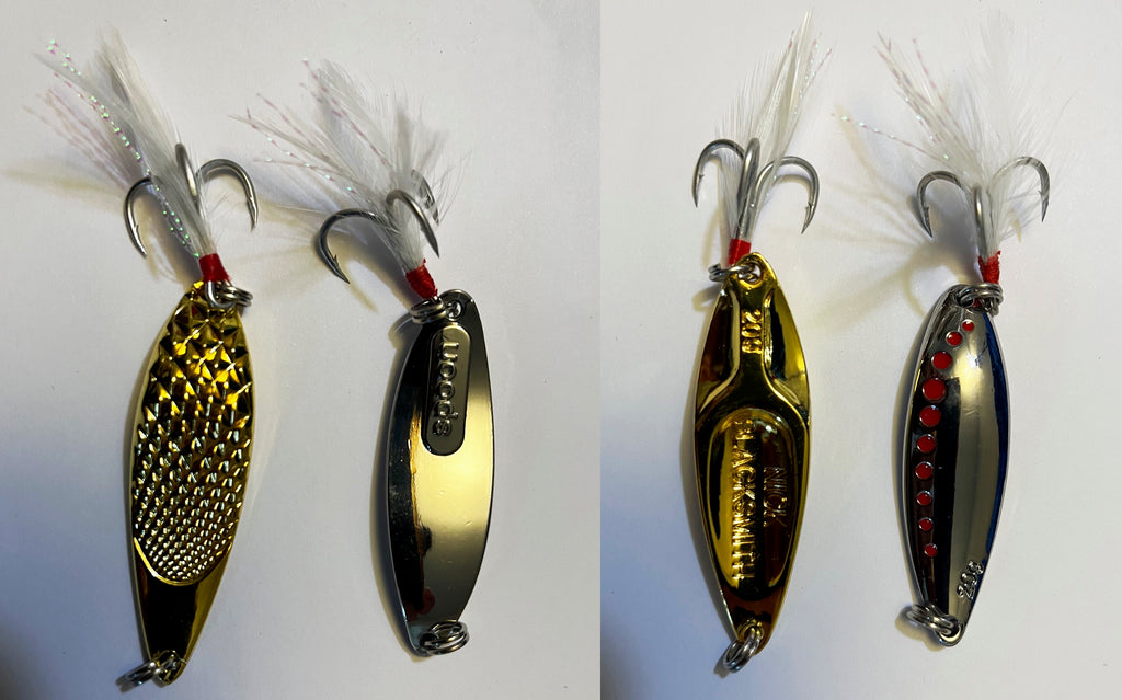 Assorted Jig Head-100